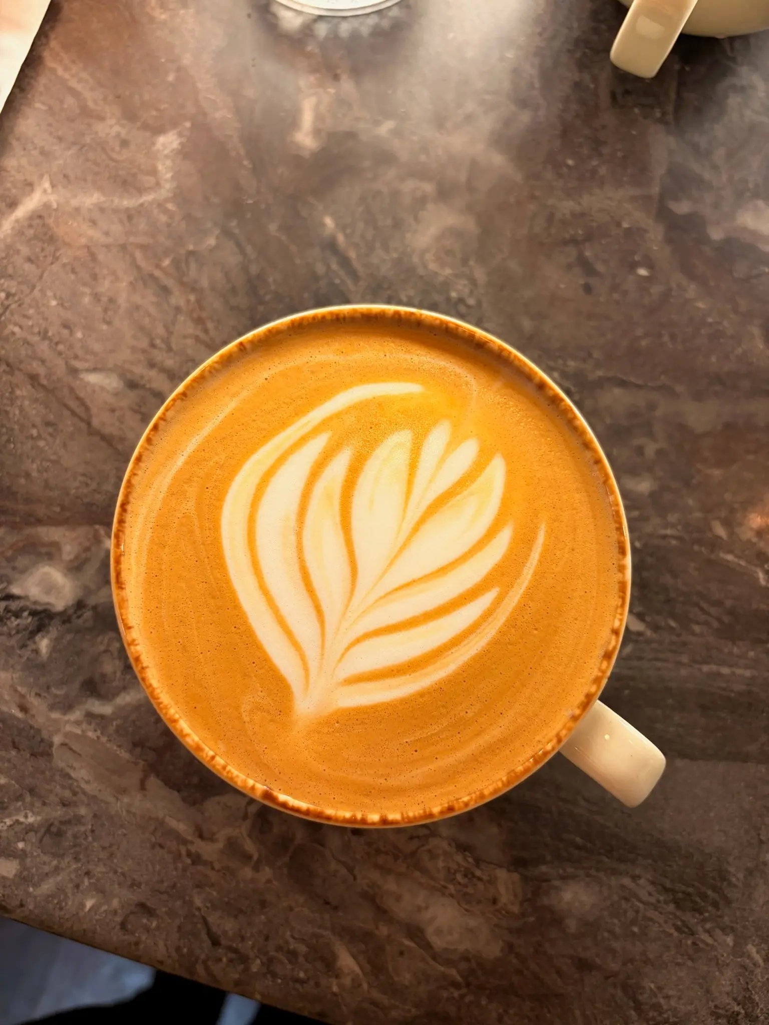 Leaf latte art in a flat white viewed from above